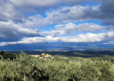 View on the Castello Montegonzi