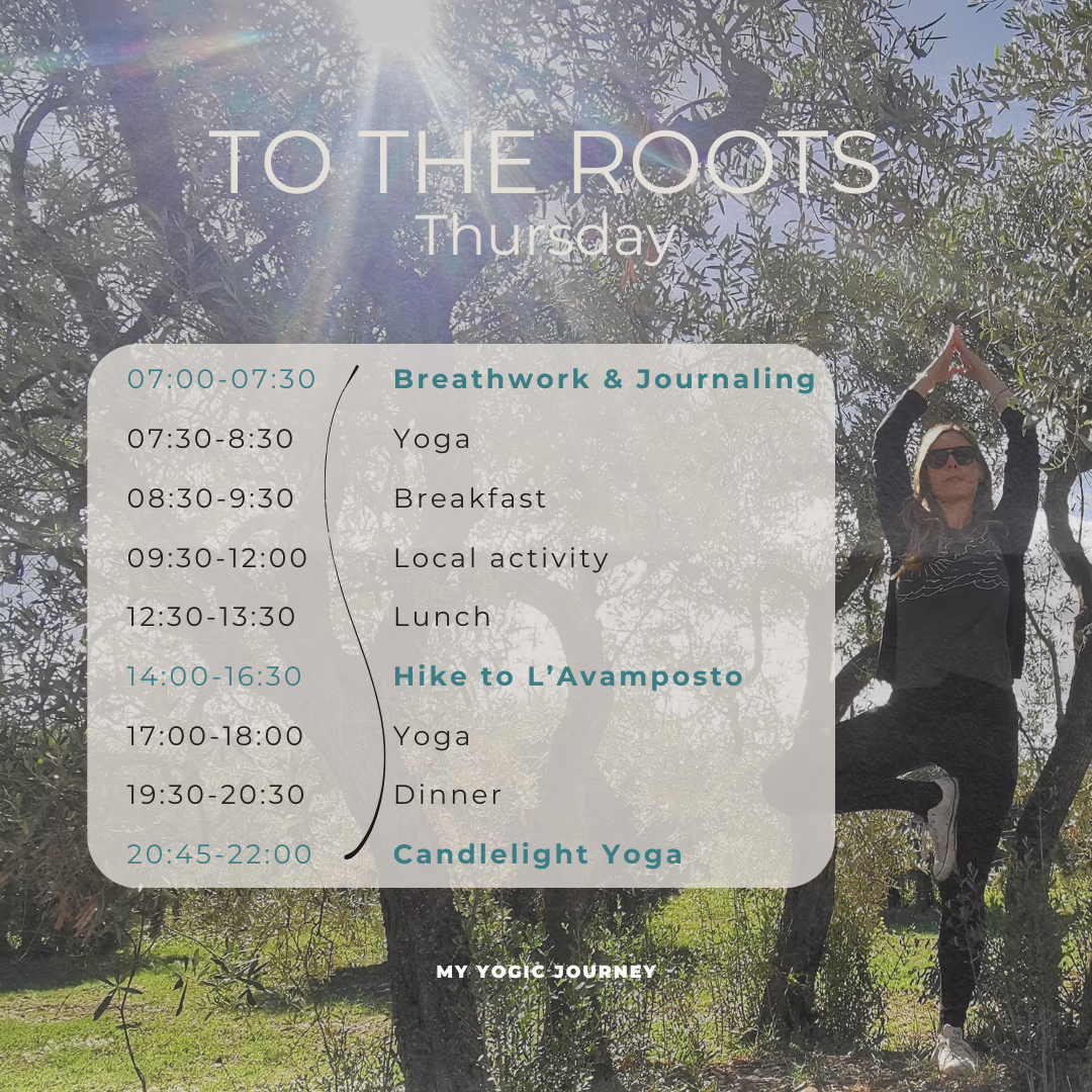 To the Roots Thursday Program