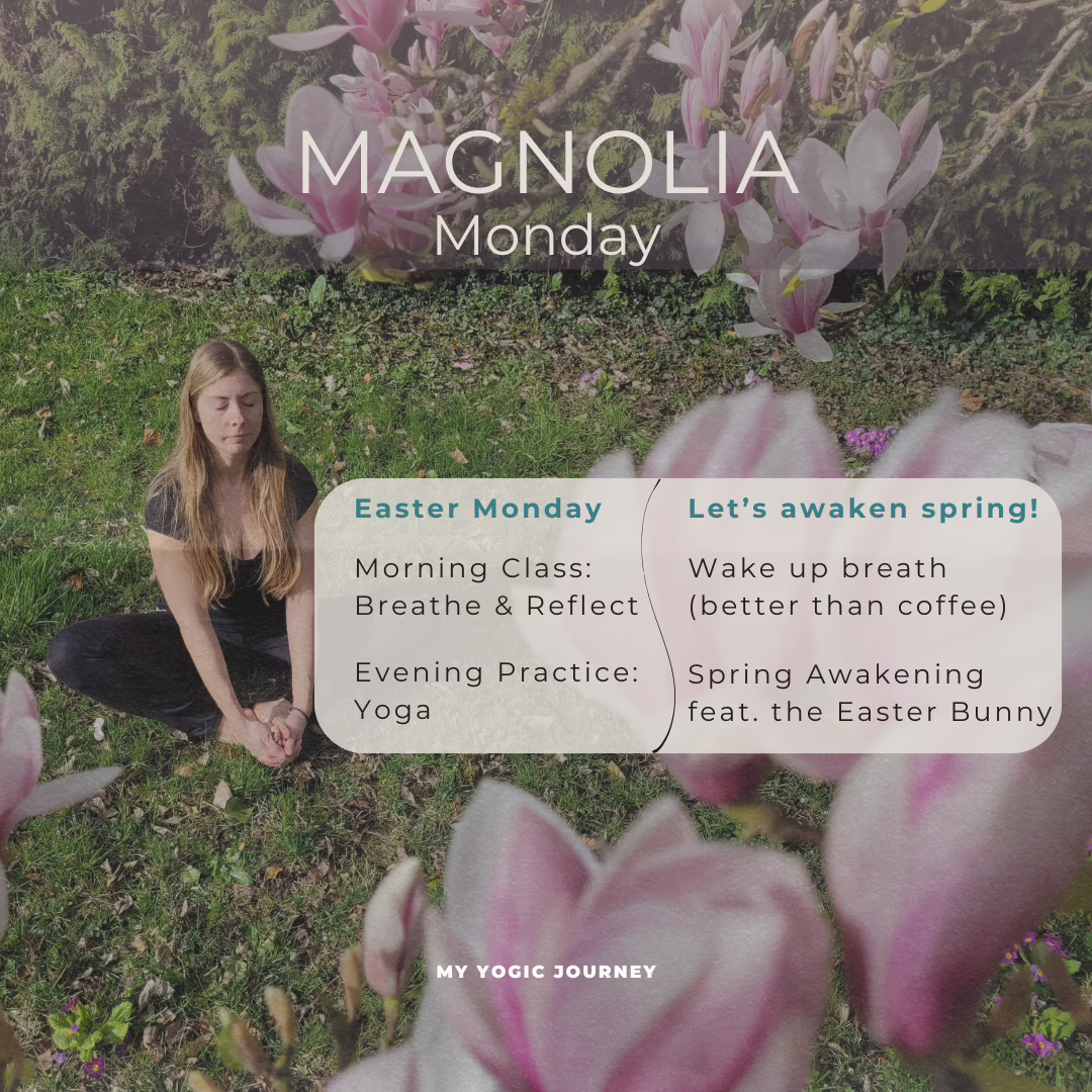 Serene Saturday Program